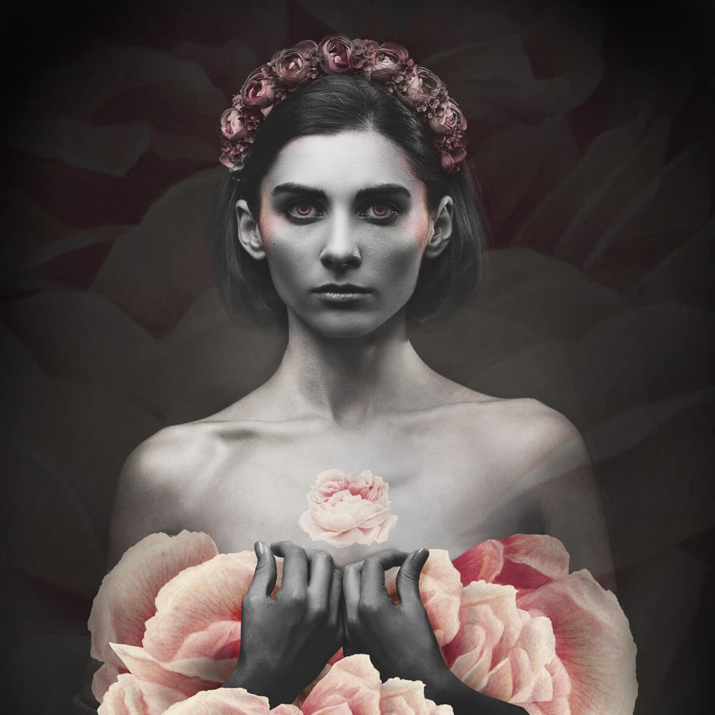 Pink Rose