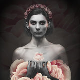 Pink Rose