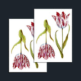 Tulips Temporary Tattoo