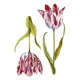 Tulips Temporary Tattoo
