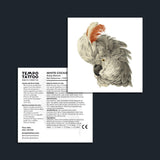 White Cockatoo Temporary Tattoo