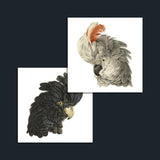 Cockatoos: Duo Pack Temporary Tattoo