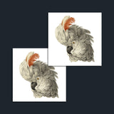 White Cockatoo Temporary Tattoo