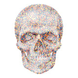 Dotted Skull Temporary Tattoo