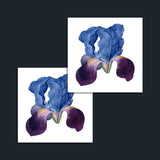 Blue Iris Temporary Tattoo