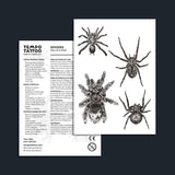 Spiders Temporary Tattoo