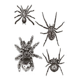Spiders Temporary Tattoo