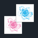 Anémonas Pop: Duo Pack