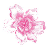 Pink Anemone Temporary Tattoo