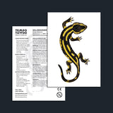 Salamander Temporary Tattoo