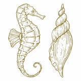 Seahorse & Seashell Tattoo