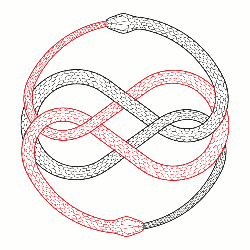 Infinity Snake Ouroboros Tattoo Tempo Tattoo